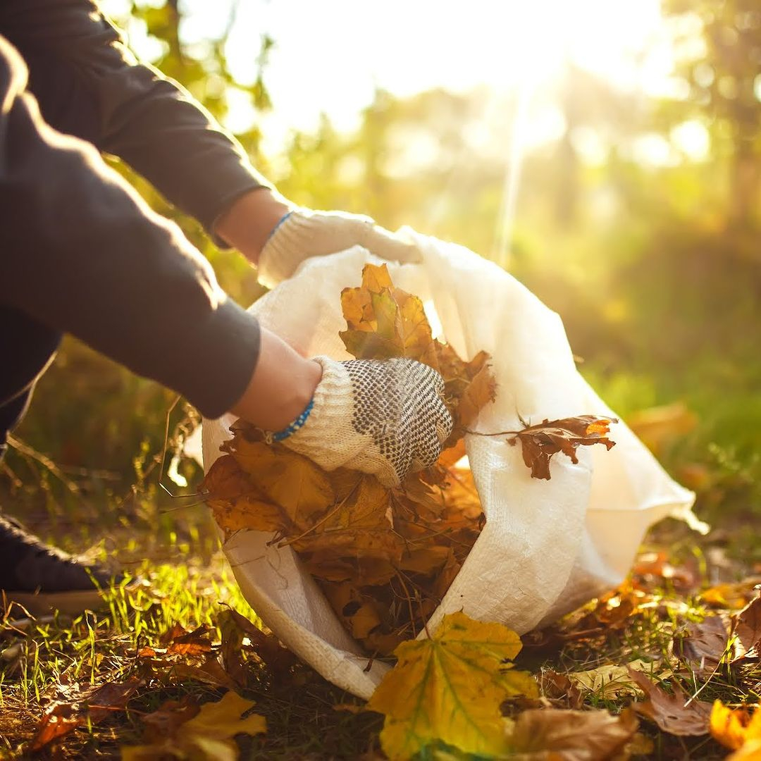 Cleaning leaves and debris