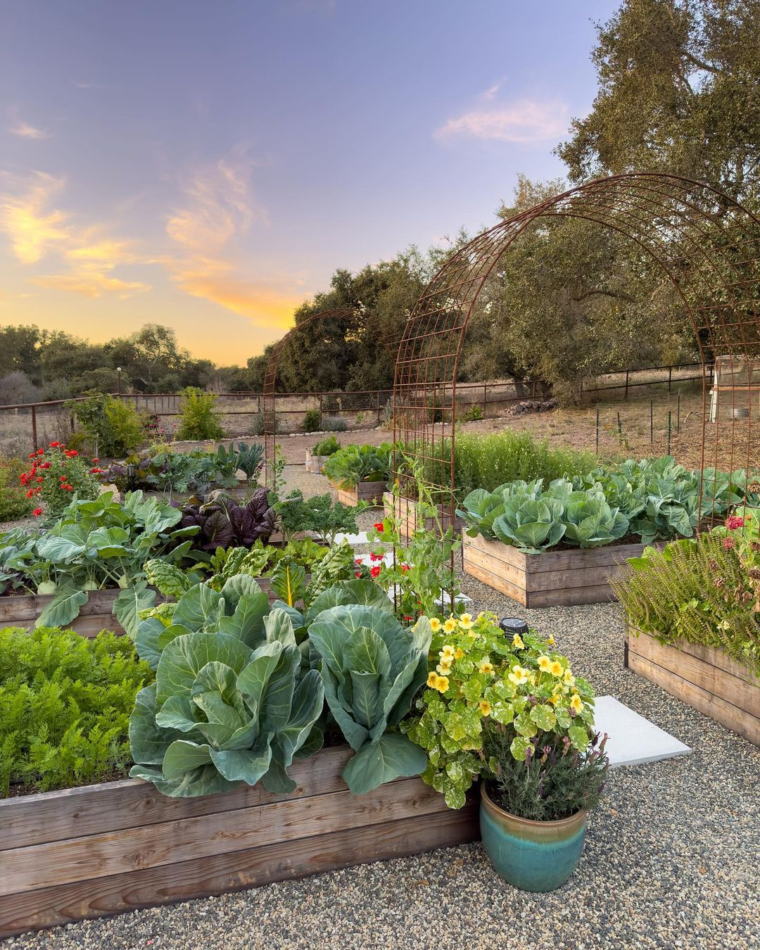 Garden beds
