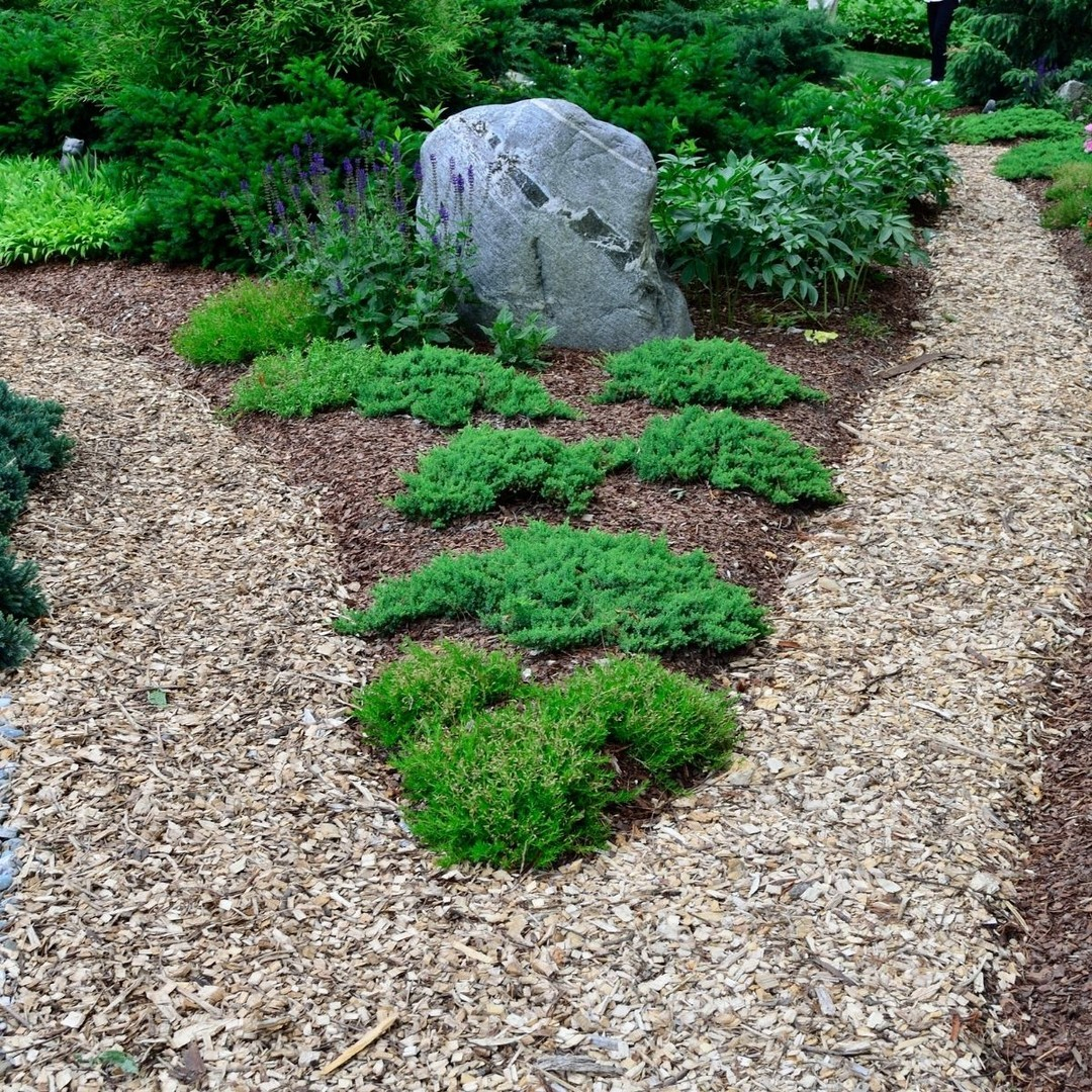 Mulch pathway