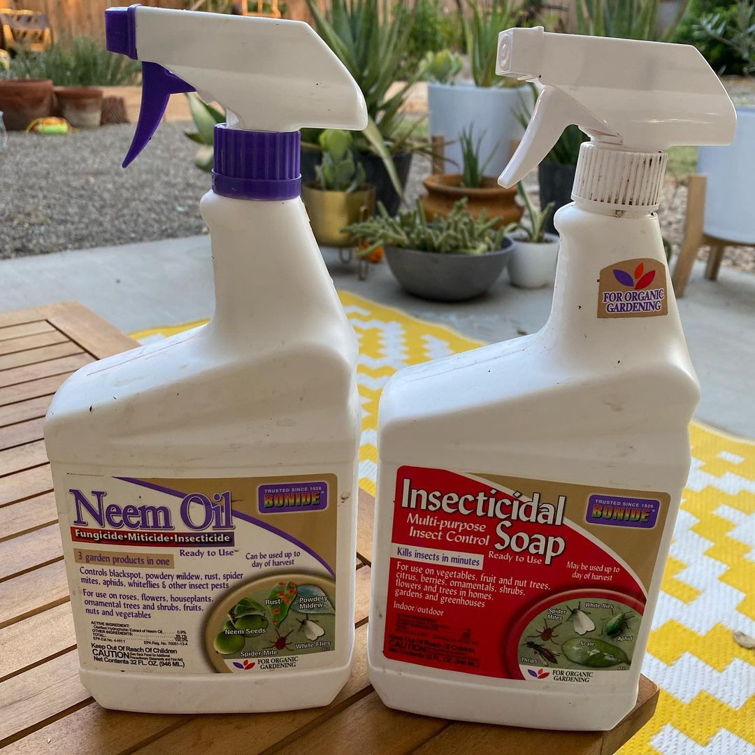 Organic spray