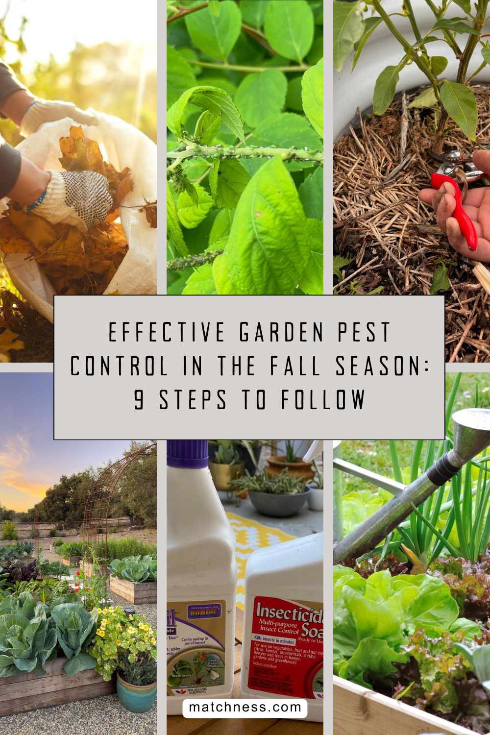 Garden pest control