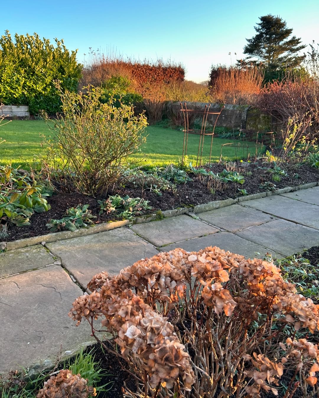 Clean the garden