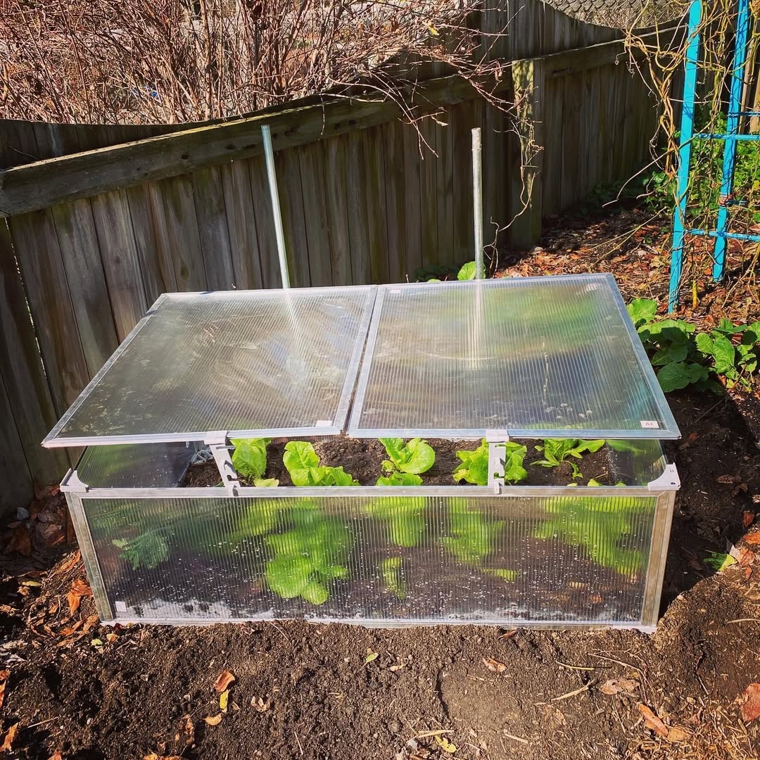 Cold frame