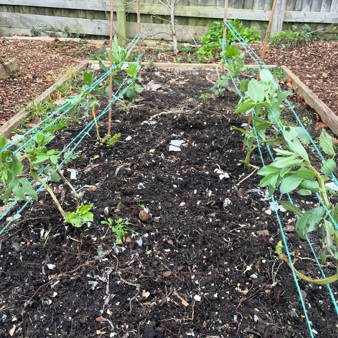 Composting