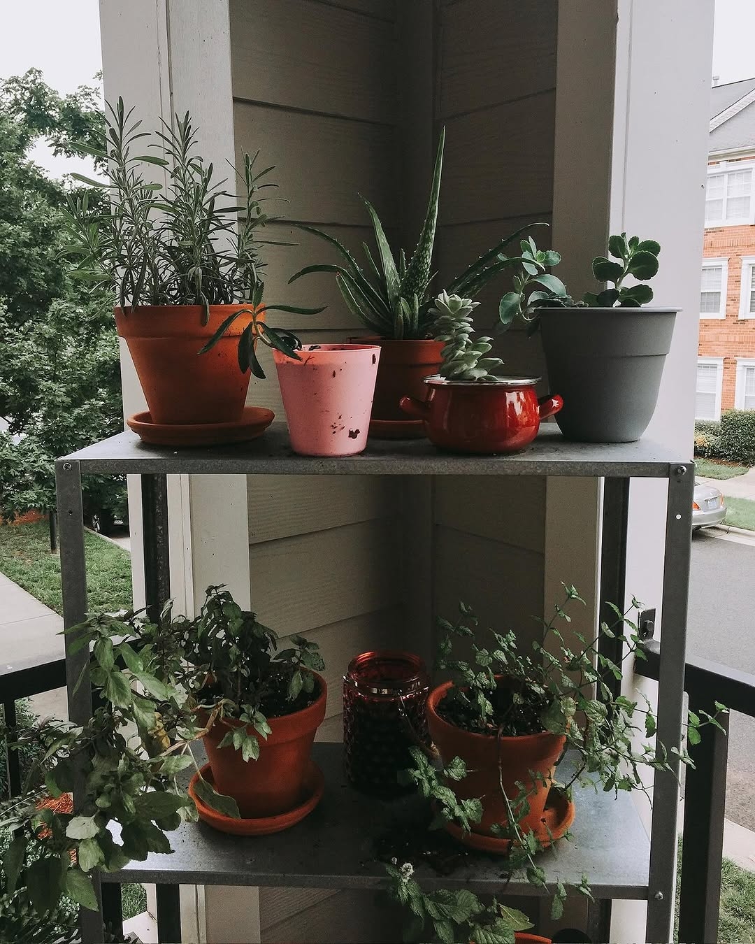 Plant containers