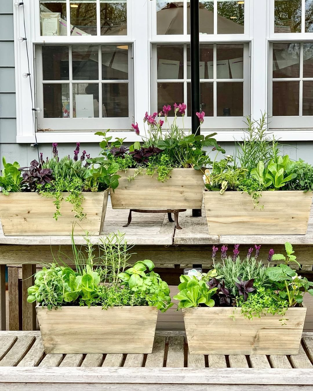 Herb container garden