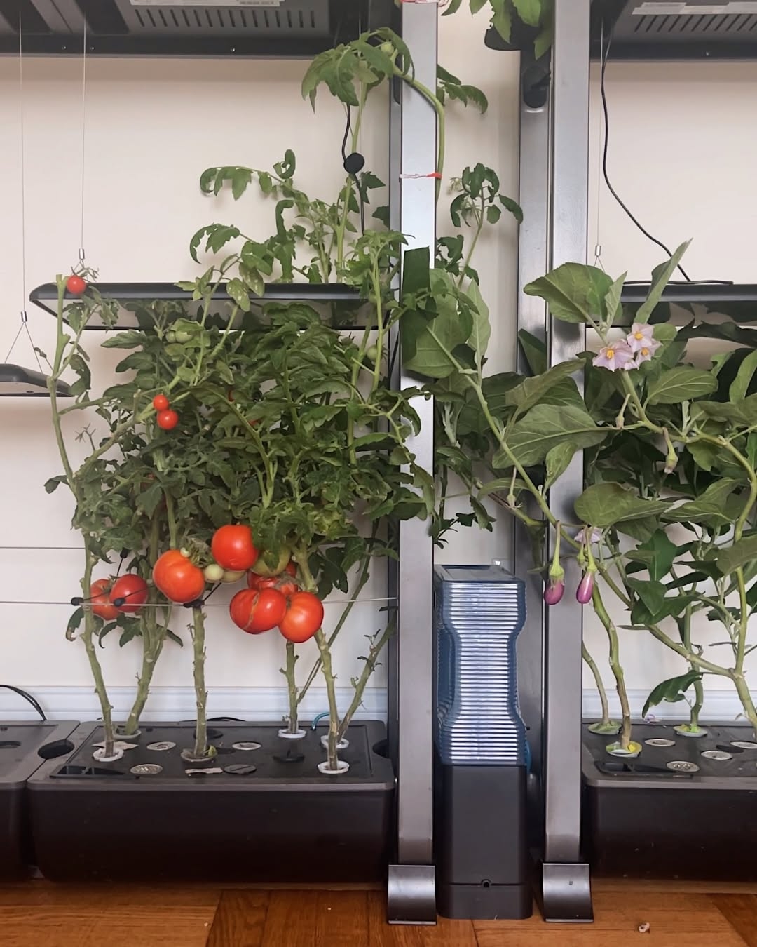Hydroponic system
