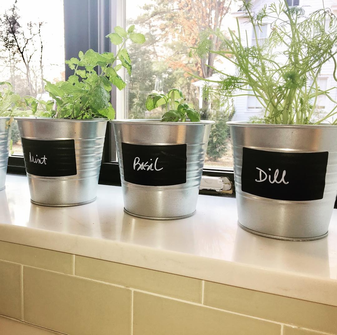 Indoor herb garden