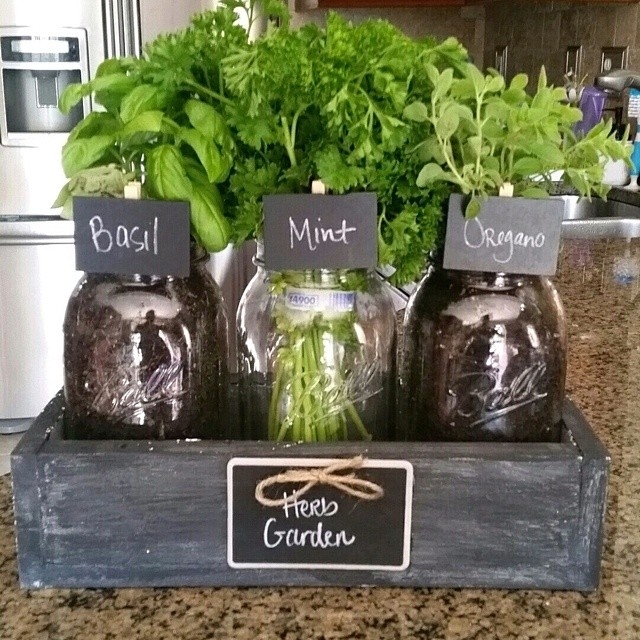 Mason jar herb garden