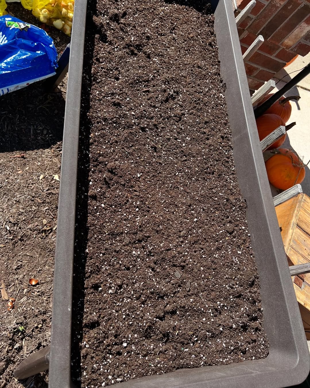 Preparing the soil