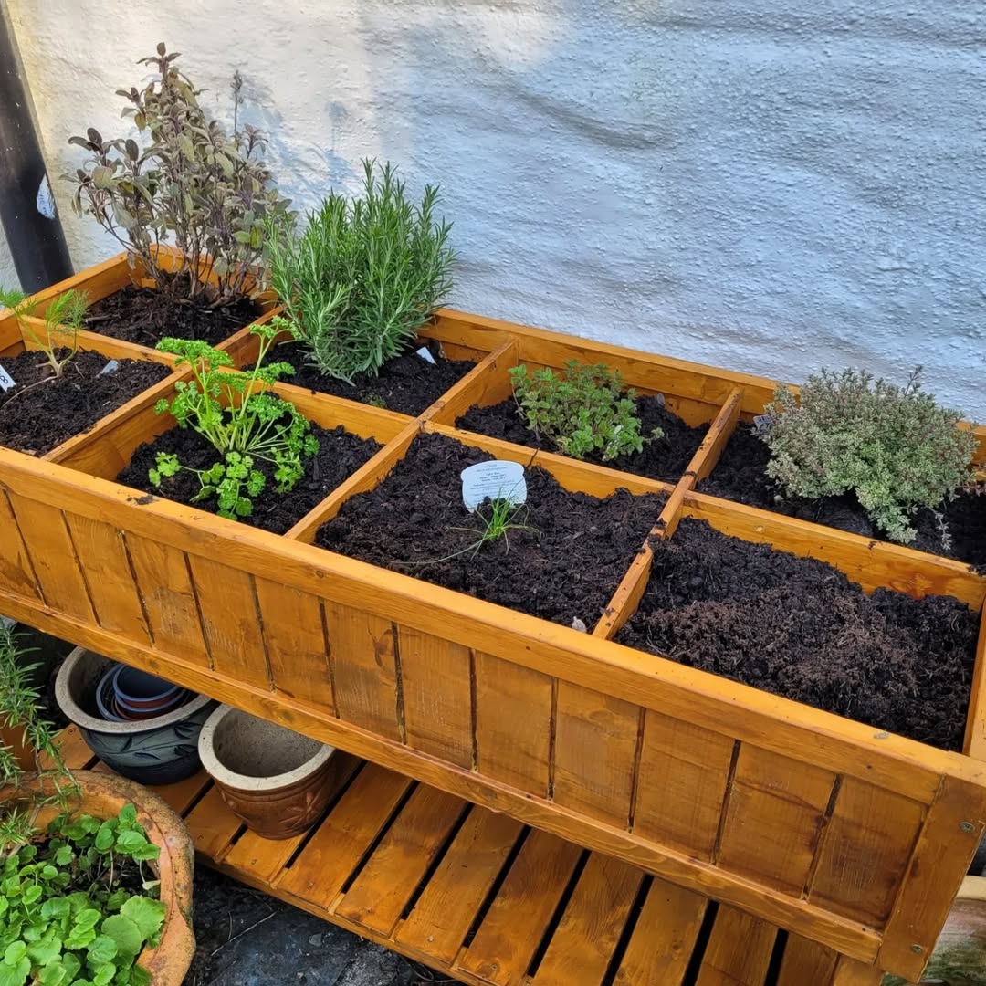 Raised herb planter