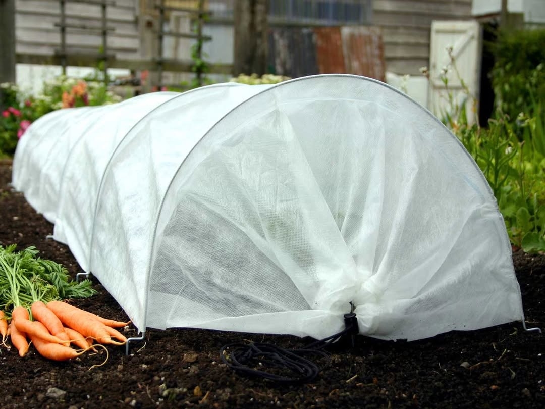 Row cover