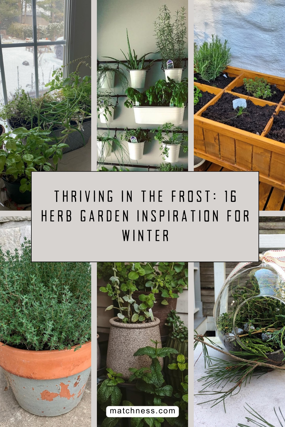 Thriving in the frost 16 herb garden inspiration for winter