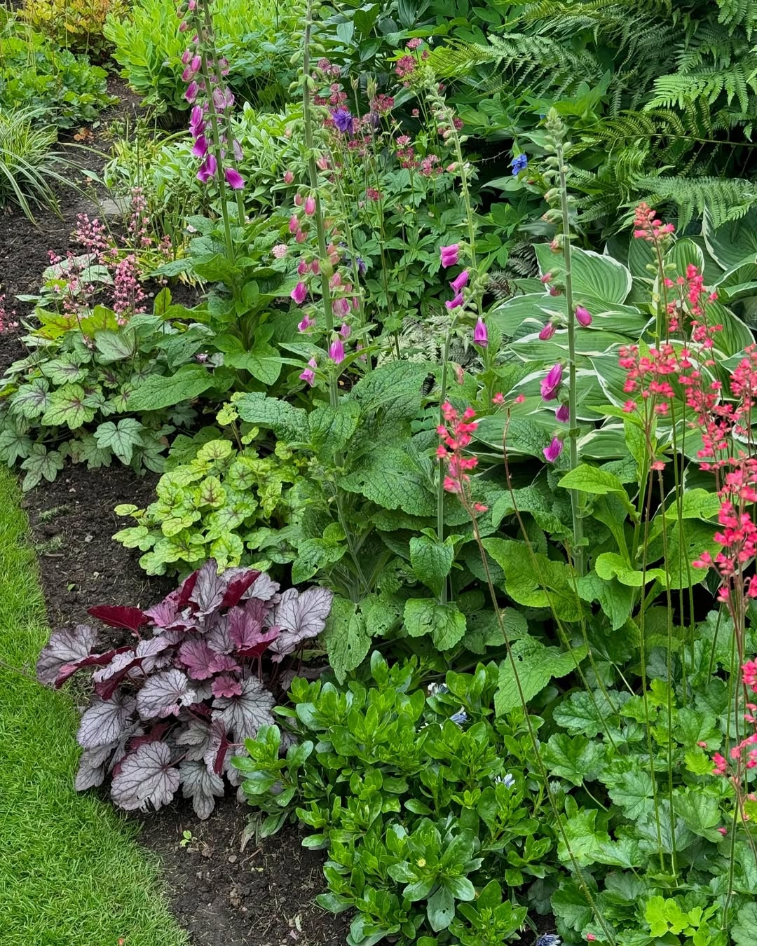 Variety of foliage