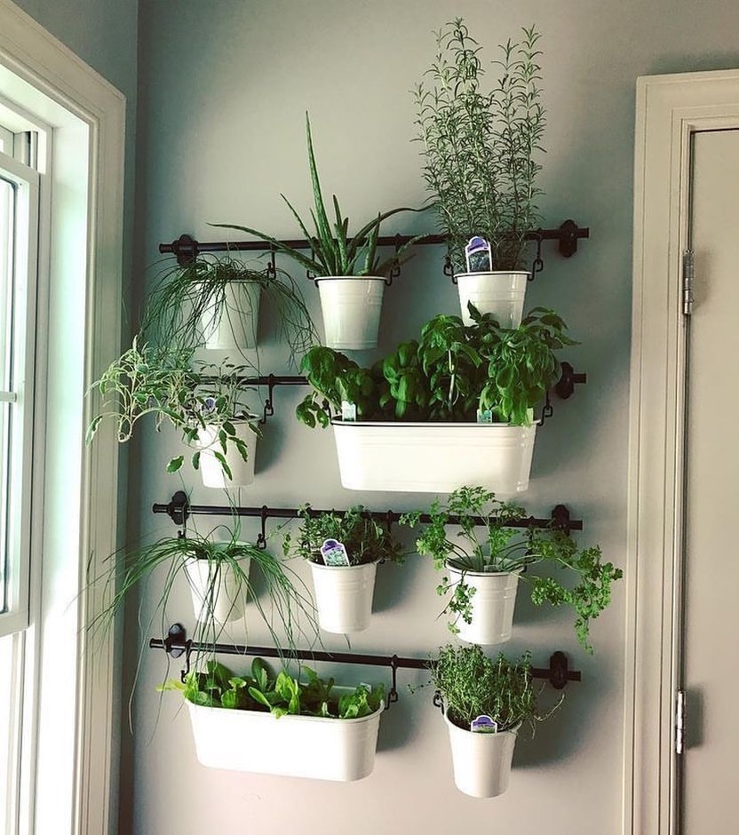 Vertical herb garden