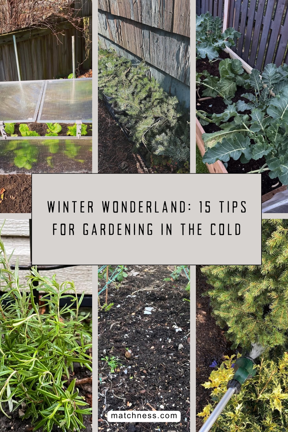 Winter wonderland 15 tips for gardening in the cold
