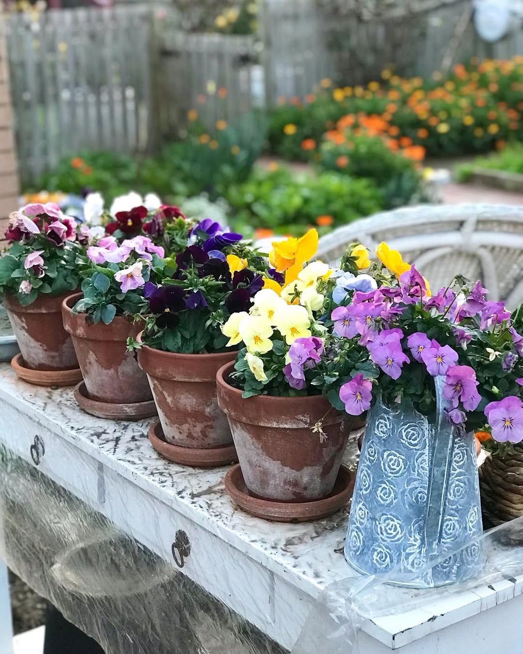 Winter flowers
