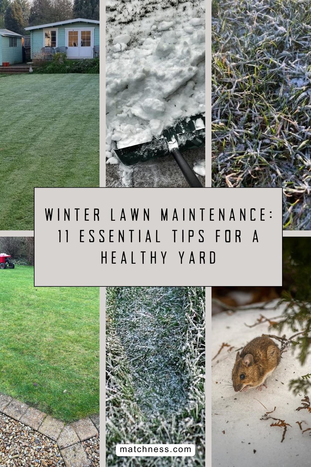 Winter lawn maintenance