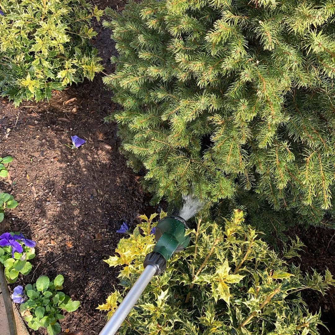 Winter watering