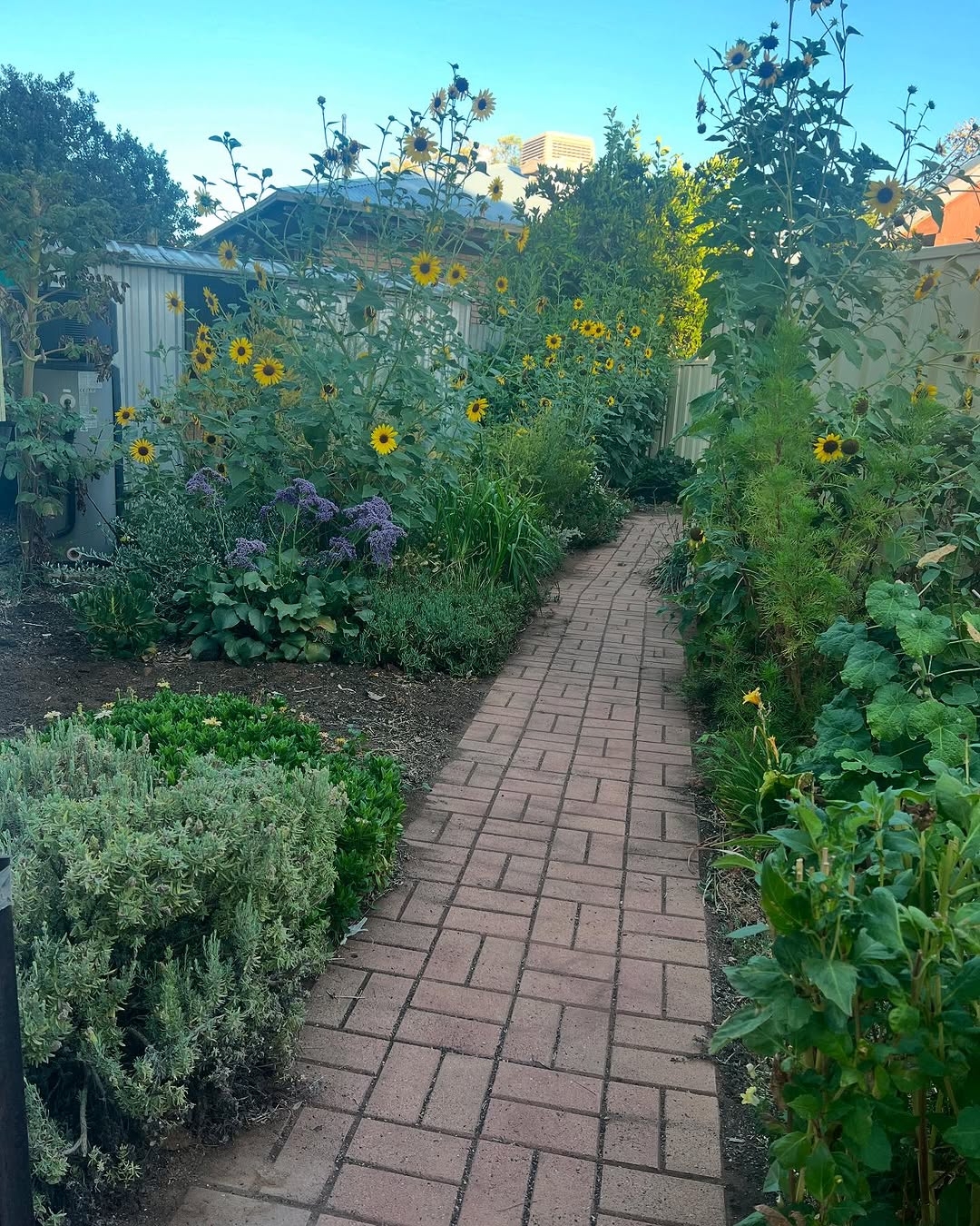 Brick pathways