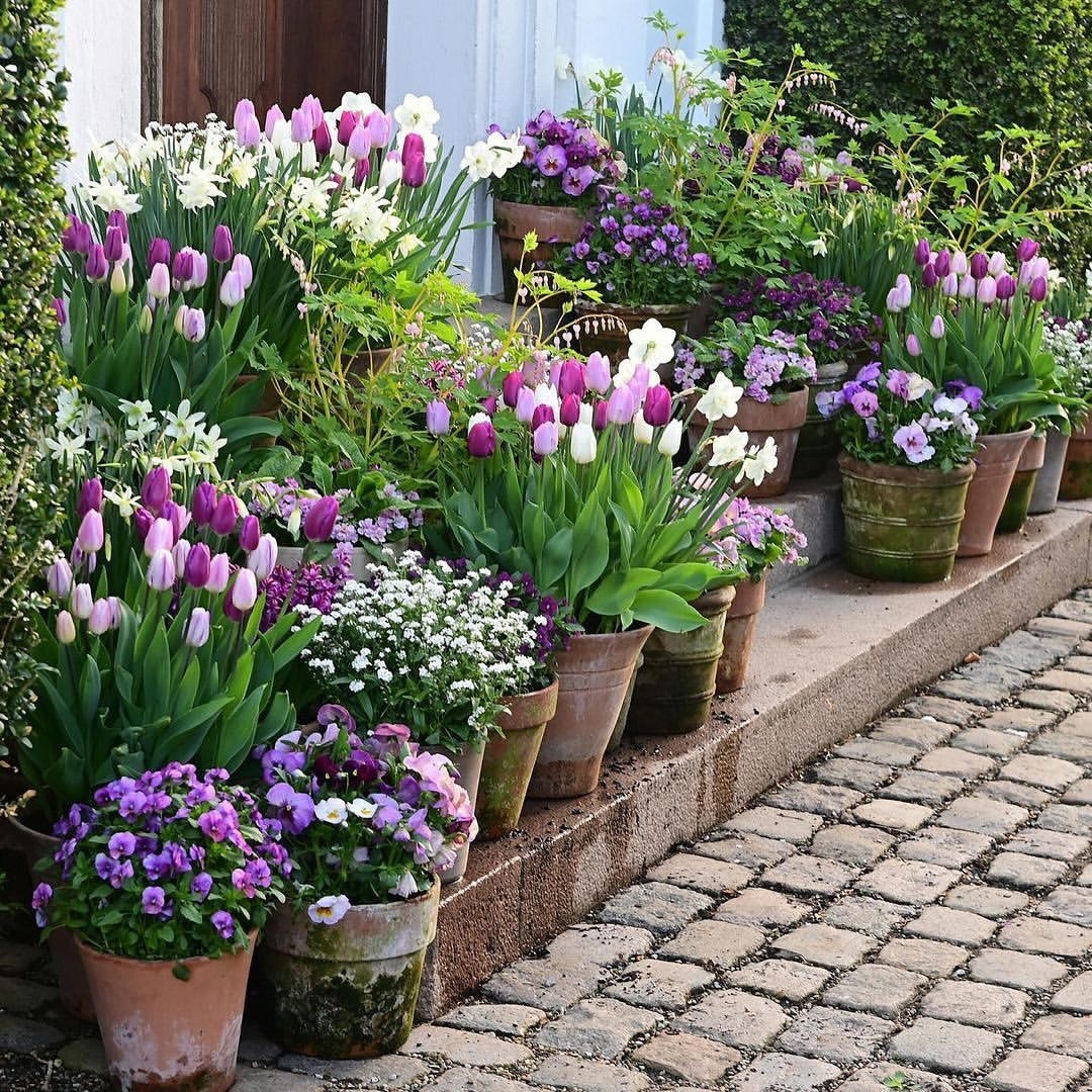 Container gardening