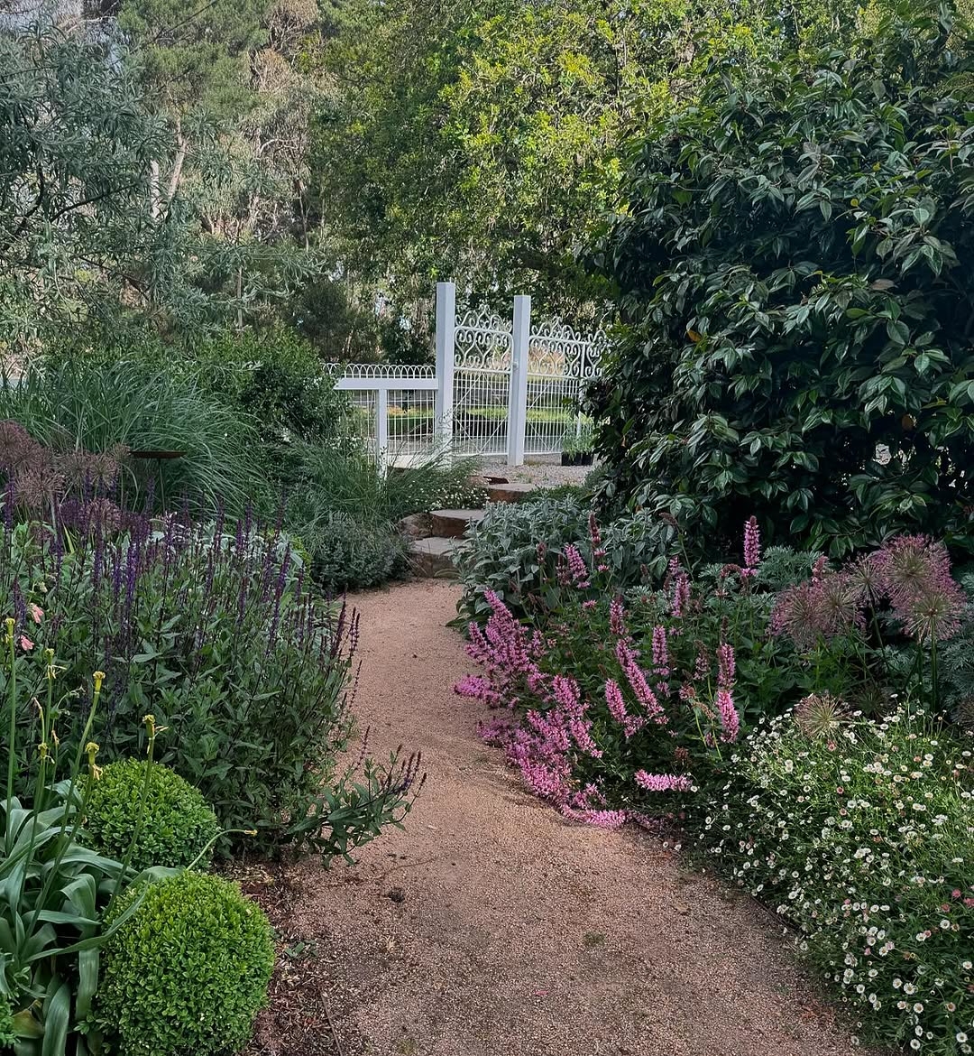 Flowering shrubs
