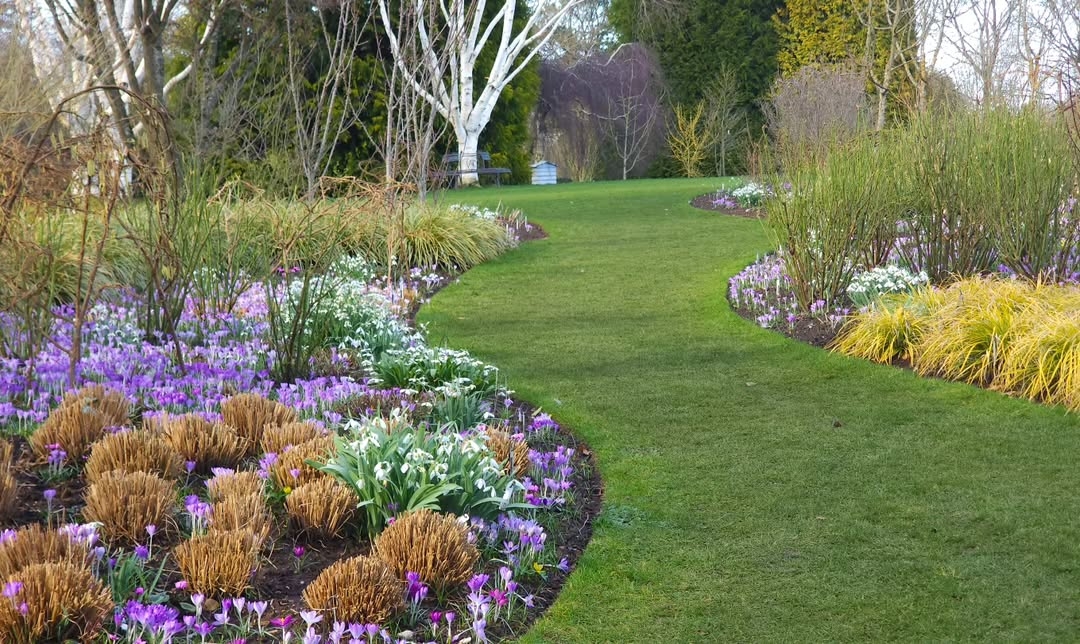 Grass walkway