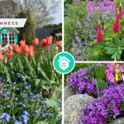 Perennial plants