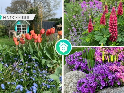 Perennial plants