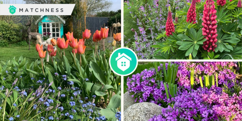 Perennial plants