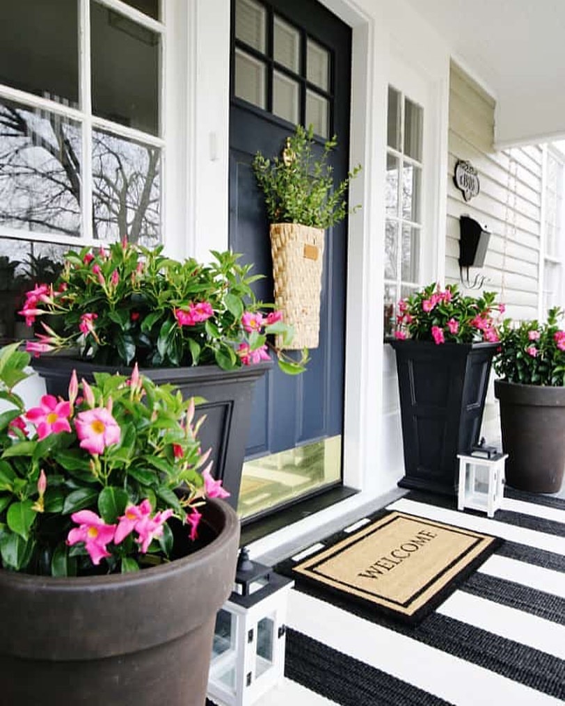 Potted flowers
