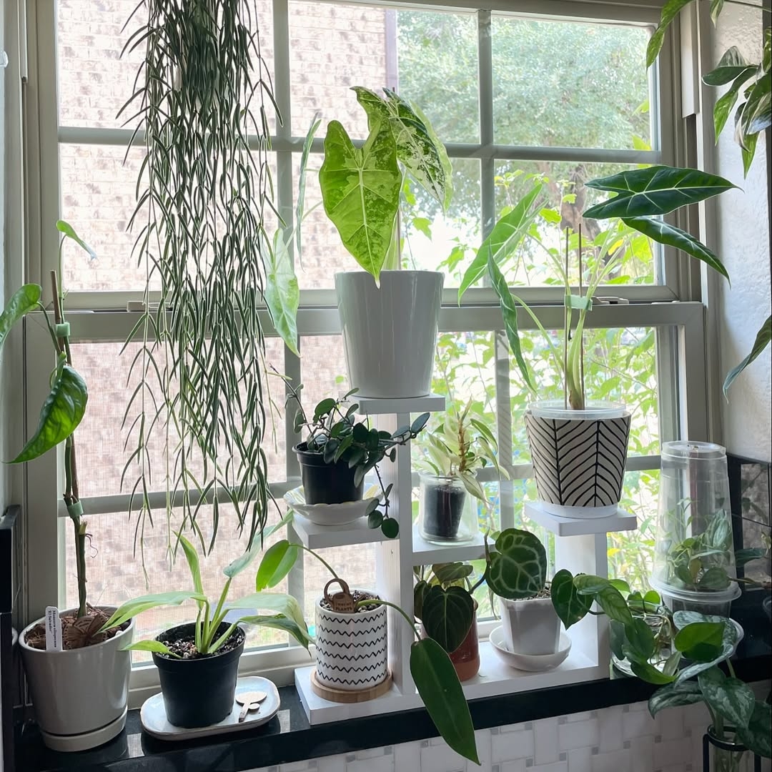 Window sill