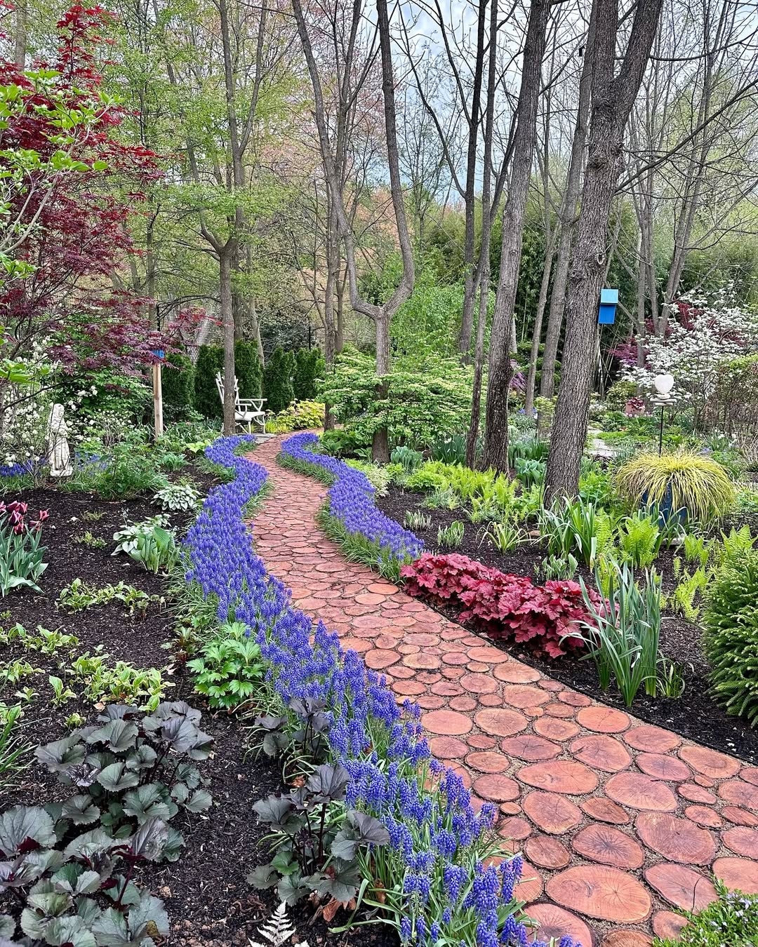 Wooden paths