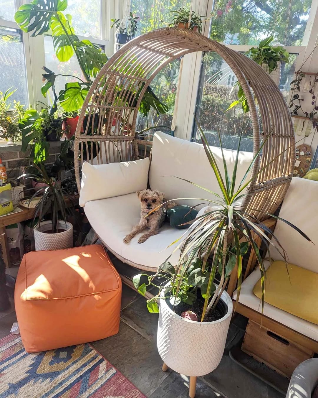 Bamboo egg chair