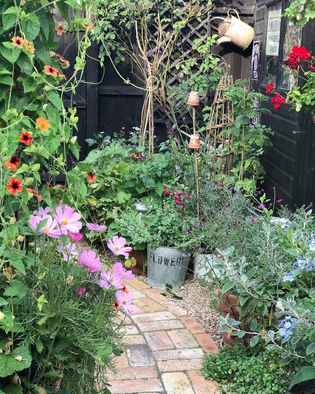 Low maintenance plants